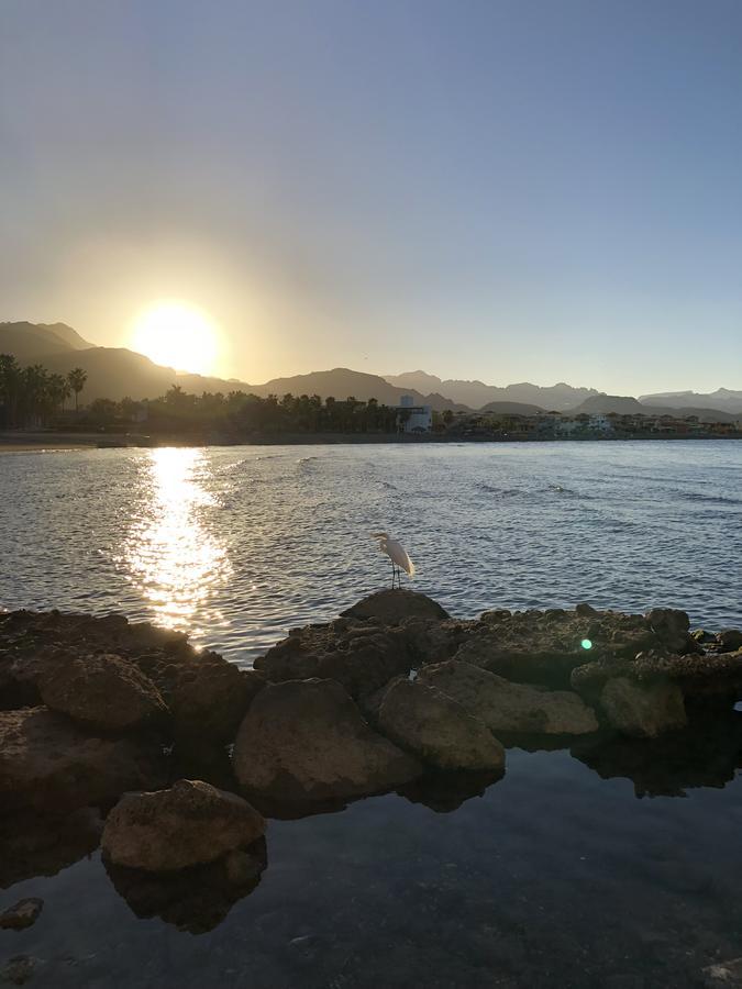 Marina Nopolo * Loreto (Baja California Sur)